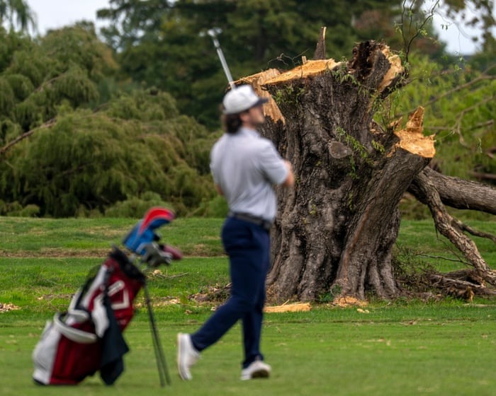 A cut tree stump at East Potomac Golf Links after the National Park Service tree removal